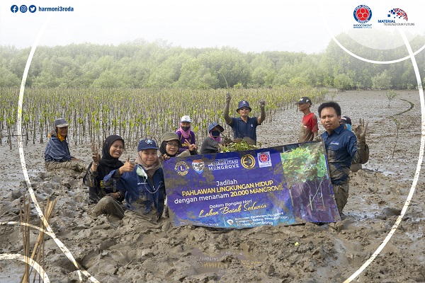 Penanaman pohon mangrove